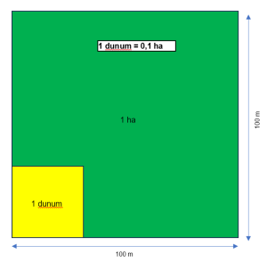 dunum/dulum u hektar